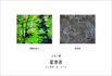 UP111207_DM.jpg